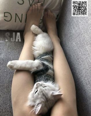 保姆与保安电视剧演员表_BD在线视频观看