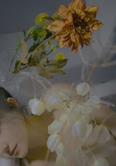 《私人教练》在线观看_高清免费HD高清完整电影